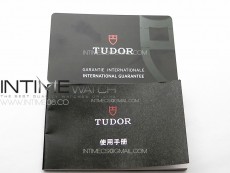tudor